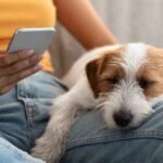 how to cancel fetch pet insurance