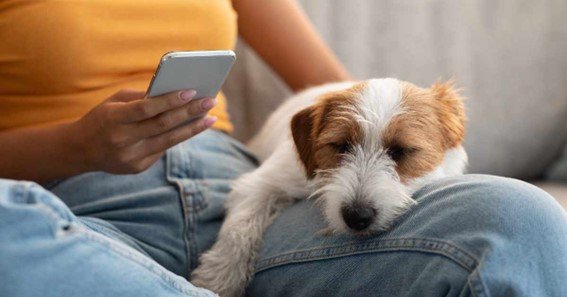 how to cancel fetch pet insurance